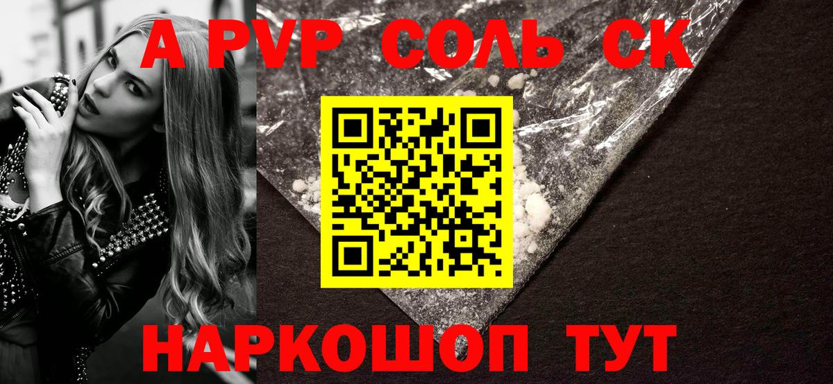 Альфа ПВП СК КРИС Грозный