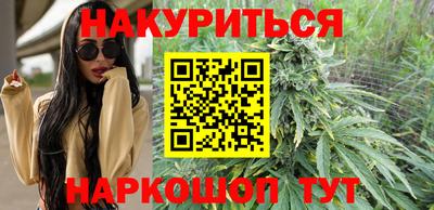 jwh Бийск