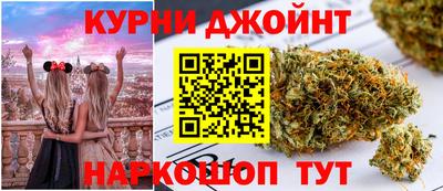 jwh Бийск