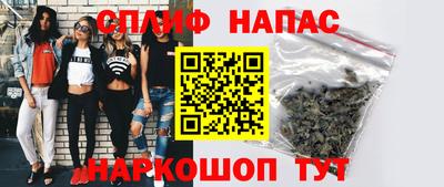 jwh Бийск