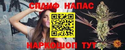 jwh Бийск