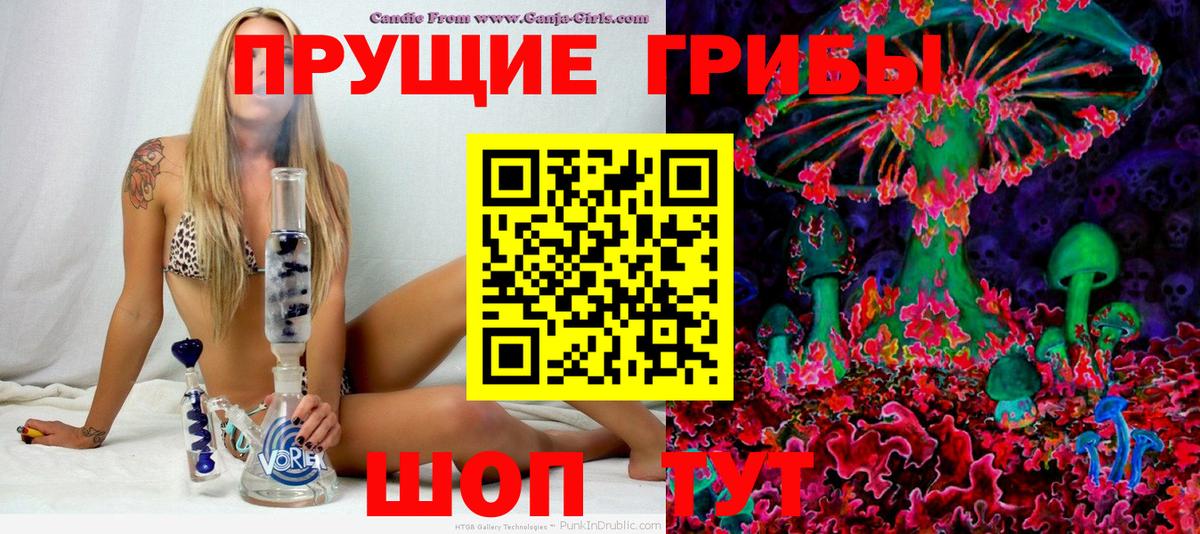 купить наркотик  Грозный  Псилоцибиновые грибы MAGIC MUSHROOMS  Галлюциногенные грибы Psilocybine cubensis 