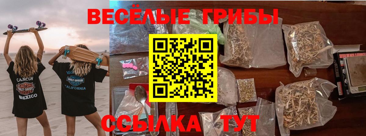 Псилоцибиновые грибы мухоморы  Вход с VPN  Грозный  Псилоцибиновые грибы мухоморы 