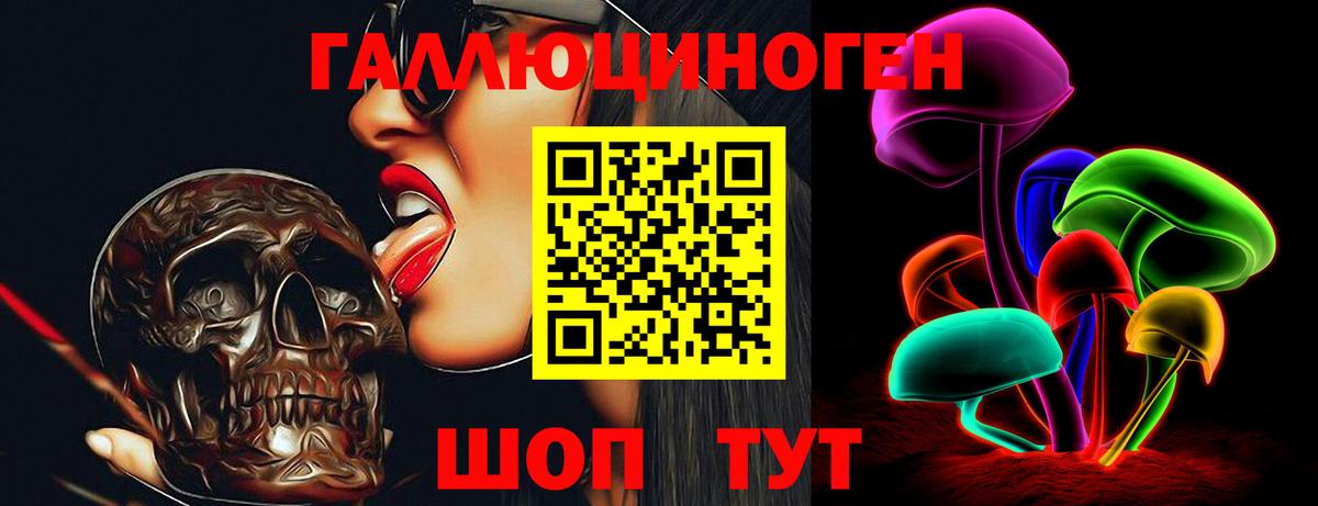 Галлюциногенные грибы Psilocybine cubensis Грозный